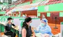 《针》 在线观看,揭秘针疗的神奇疗效与独特魅力